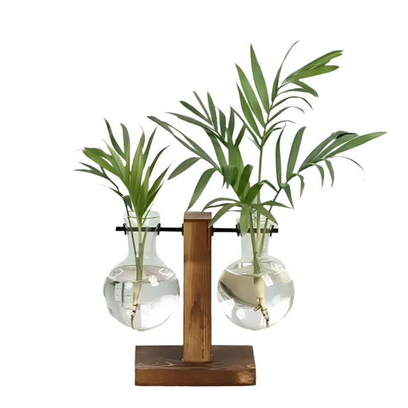 Desktop Hydroponic Planter @chichicmart