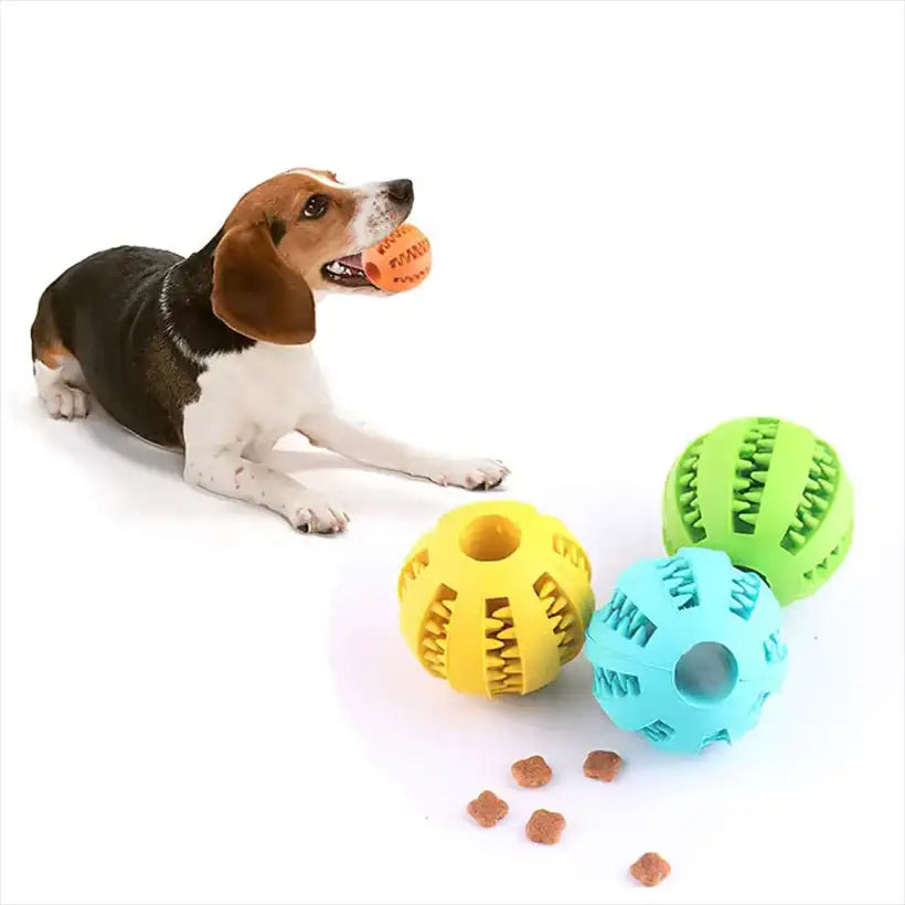 Chew and Teething Toys for Puppies @chichicmart