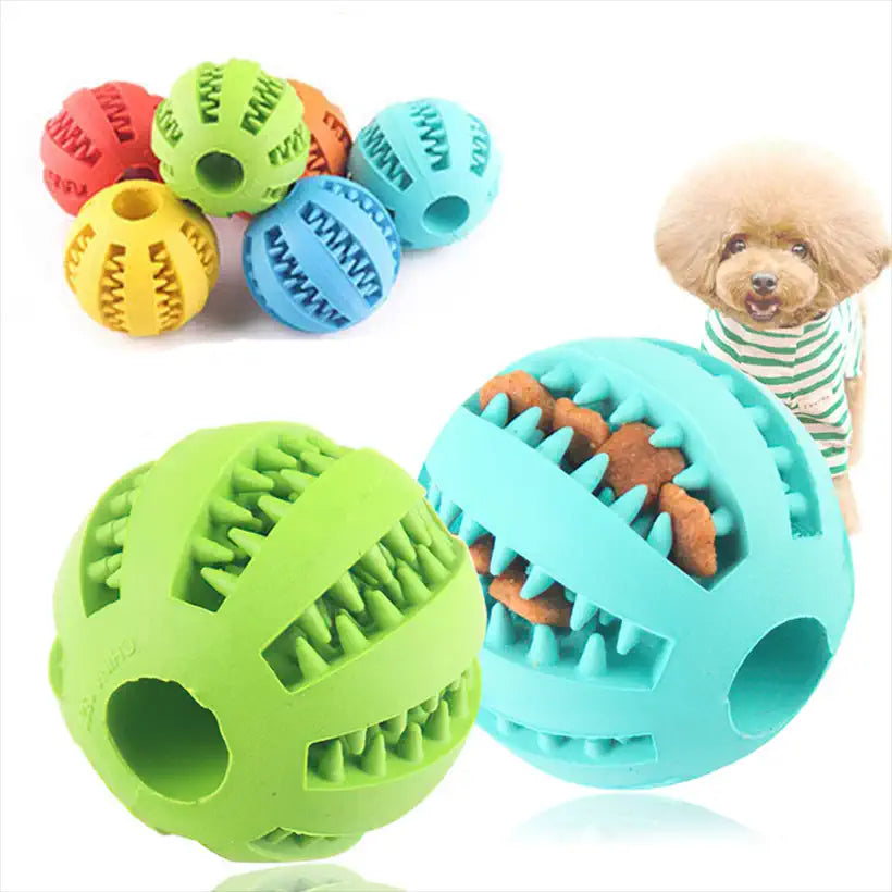 Chew and Teething Toys for Puppies @chichicmart