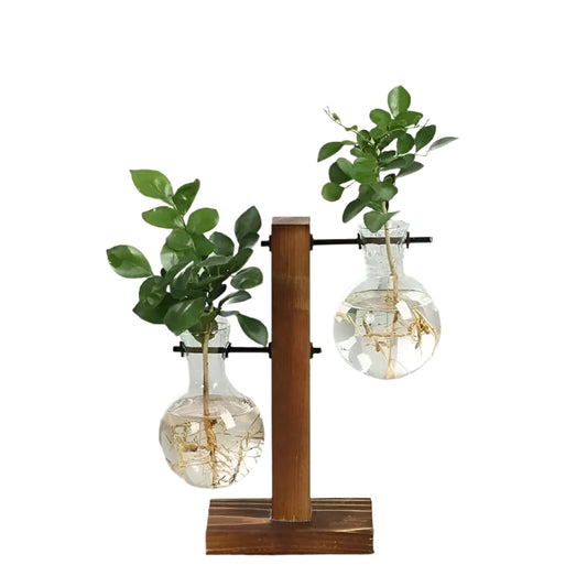 Desktop Hydroponic Planter @chichicmart