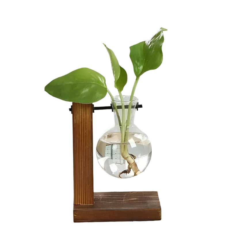 Desktop Hydroponic Planter @chichicmart
