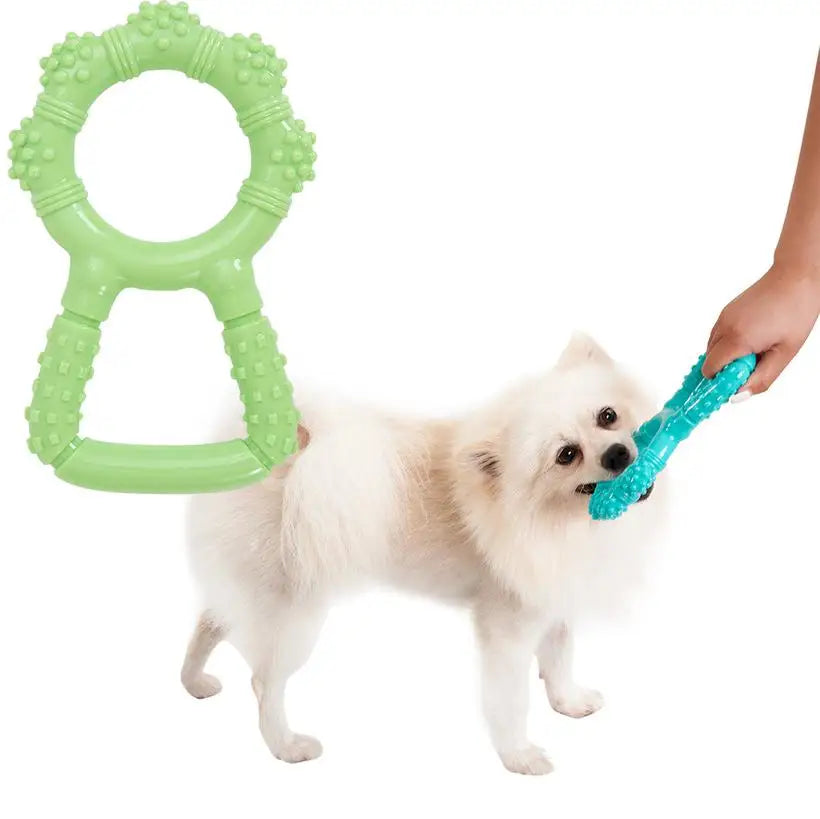 Dog Flying Discs @chichicmart