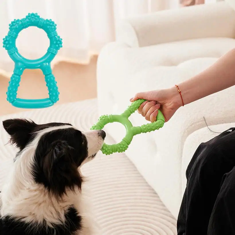 Dog Flying Discs @chichicmart