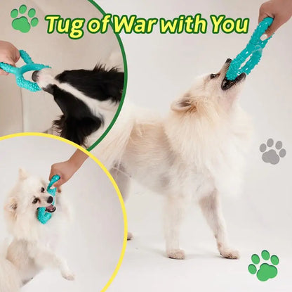 Dog Flying Discs @chichicmart
