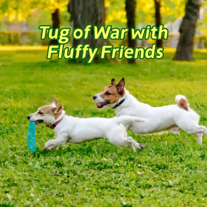Dog Flying Discs @chichicmart