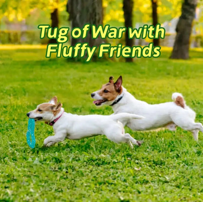 Dog Flying Discs @chichicmart