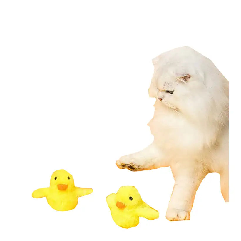 Flapping Duck Cat Toys @chichicmart