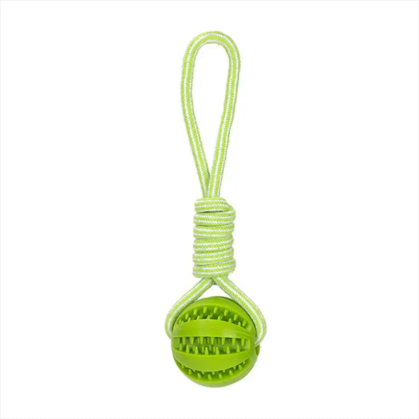 Interactive Dog Ball @chichicmart