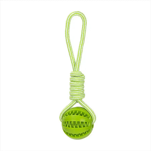 Interactive Dog Ball @chichicmart
