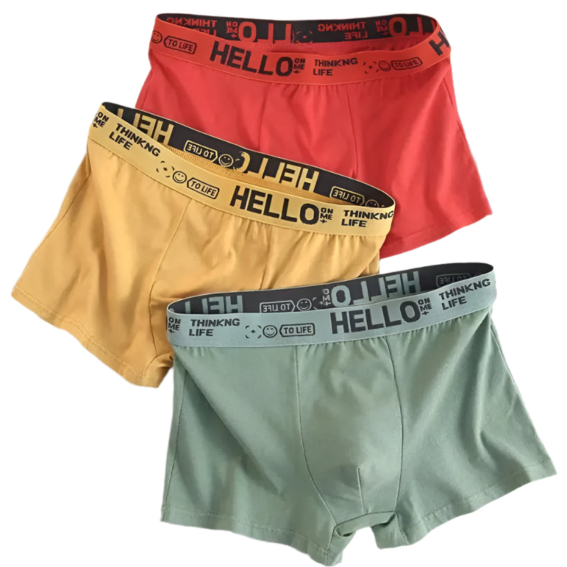 Men's Cotton Underwear, Breathable Boxer @chichicmart