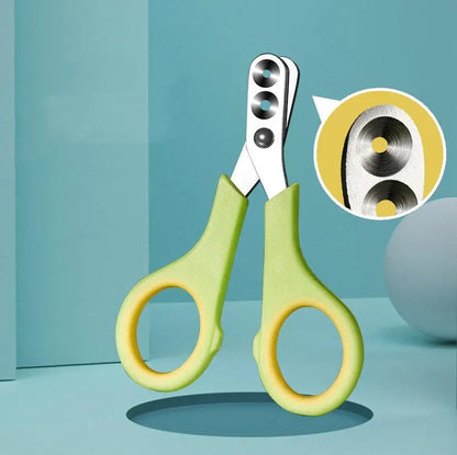 Green pet nail clippers with a close-up inset on a teal background @chichicmart