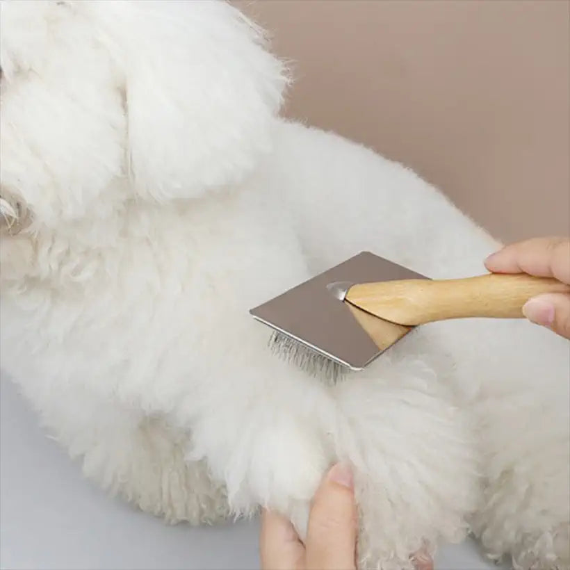 Pet Hair Remover Brush @chichicmart