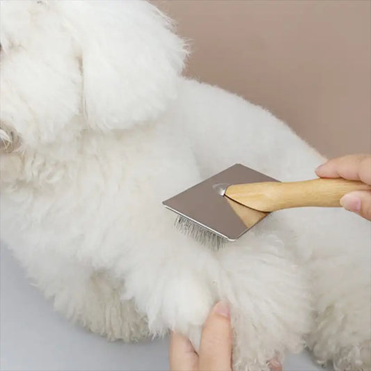 Pet Hair Remover Brush @chichicmart
